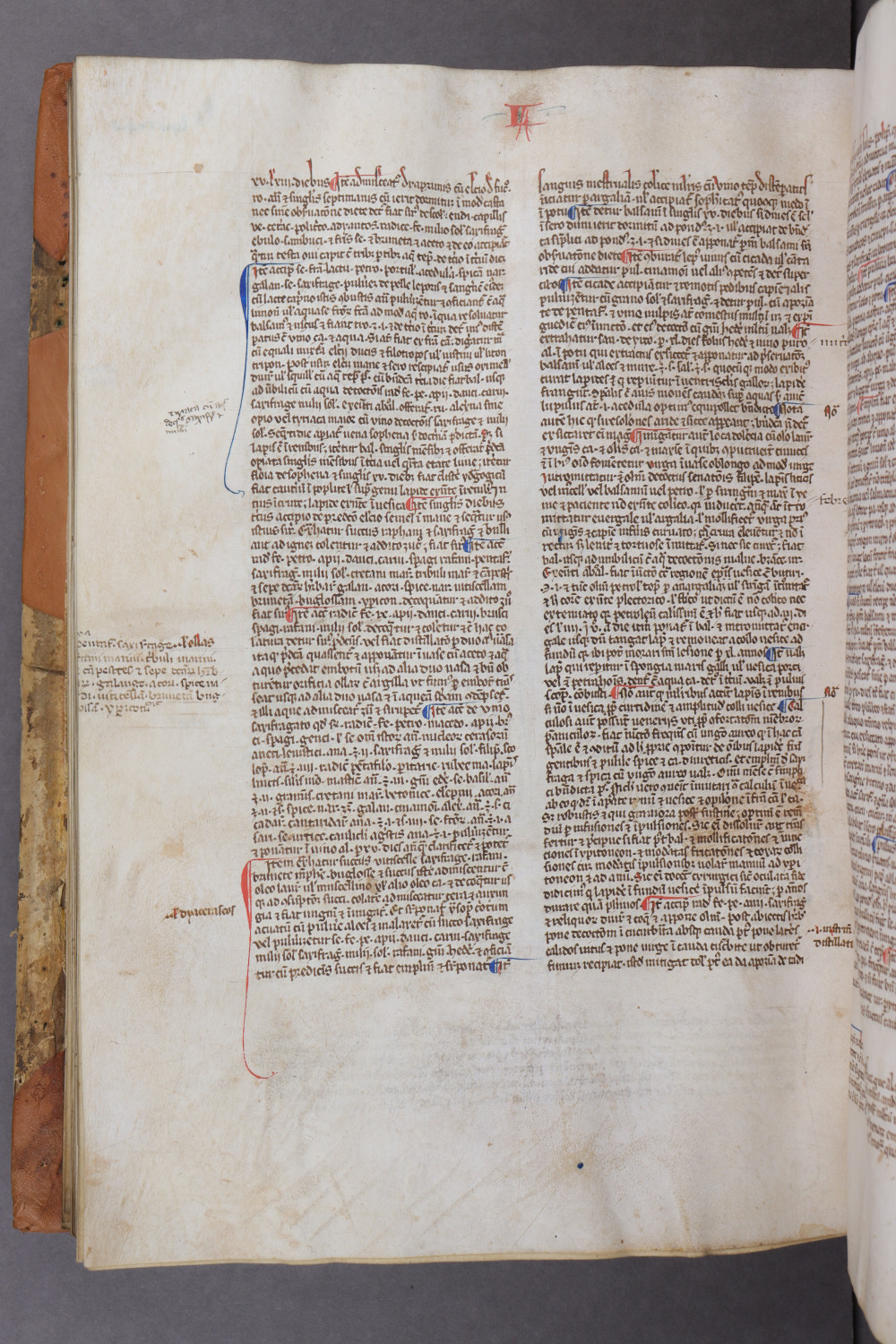 Folio 125 verso